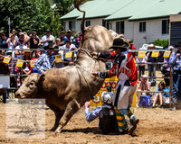 JindabyneRodeo2012_0226