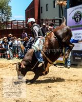 JindabyneRodeo2012_0236