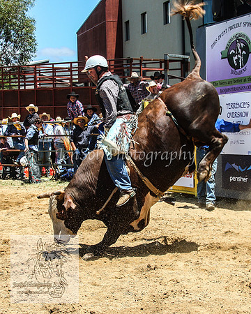 JindabyneRodeo2012_0236