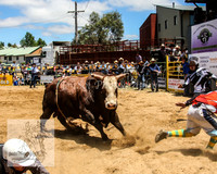 Jindabyne Rodeo 2012