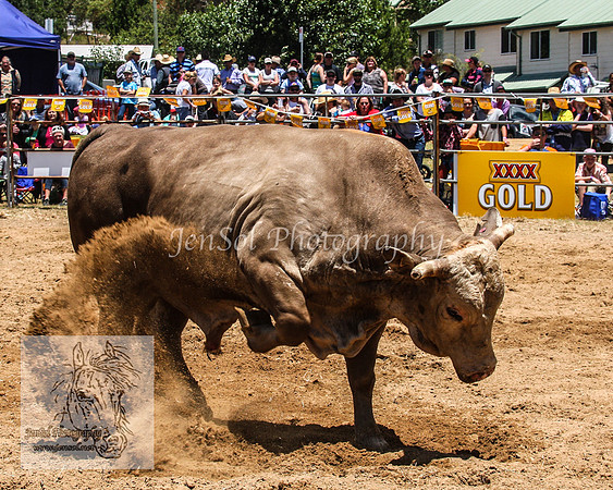 JindabyneRodeo2012_0253