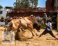 JindabyneRodeo2012_0487