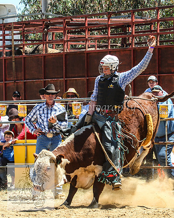 JindabyneRodeo2012_0776