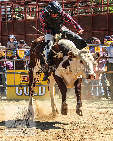 JindabyneRodeo2012_0868