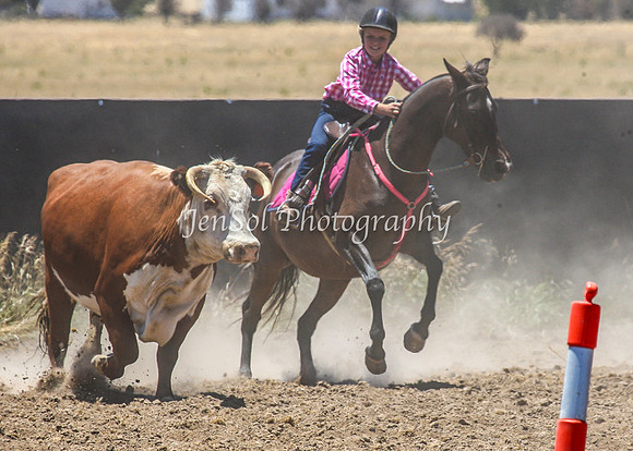 AdaminabyCampdraft2015_0437