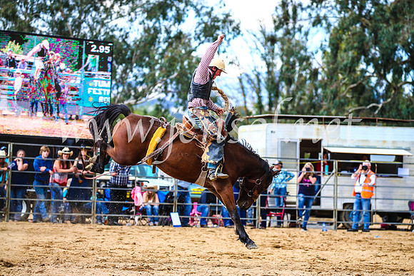 TumutRodeo2017_1566