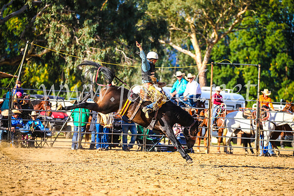 TumutRodeo2017_2423