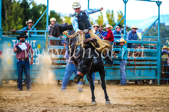 TumutRodeo2017_1445