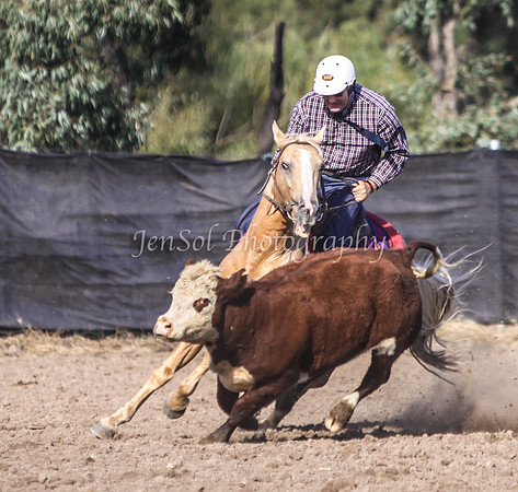 Gundi7_0122