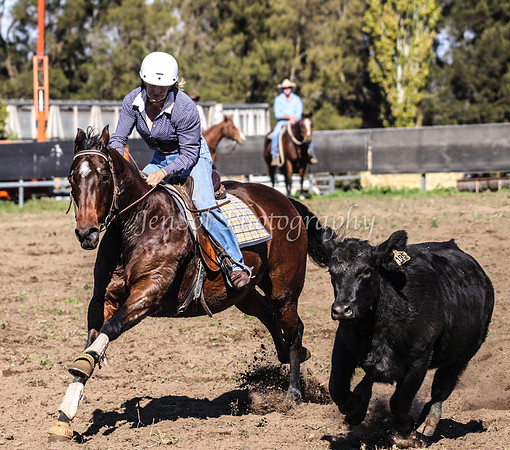 IMG_0446Jugiong1