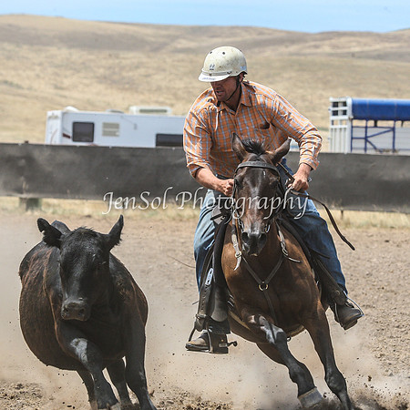 AdaminabyCampdraftSun2015_3058