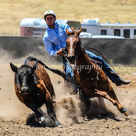 AdaminabyCampdraft2015_0367