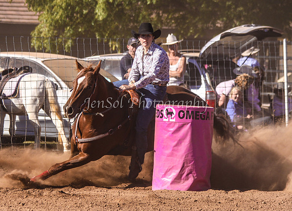 Dubbo5 526