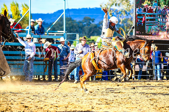 TumutRodeo2017_2334