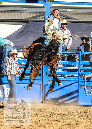 TumbarumbaRodeoNYE2025_4203