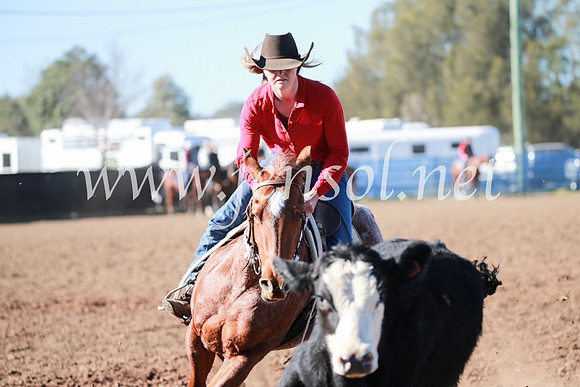 CCCampdraft2016_5241