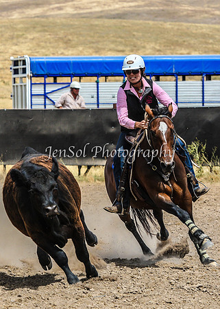 AdaminabyCampdraftSun2015_3418