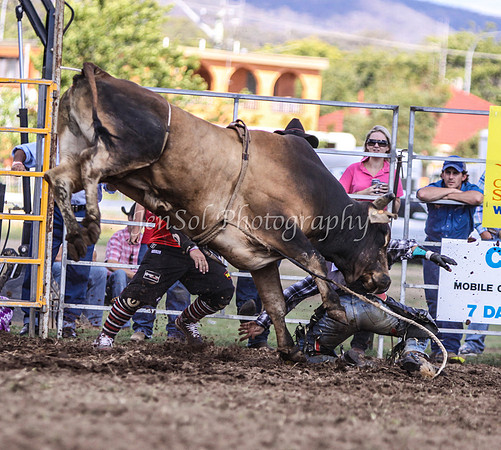 IMG_0049Qbn2