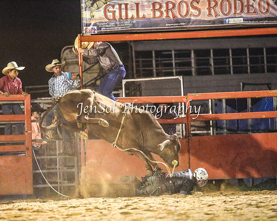 ForbesRodeo2014_4301