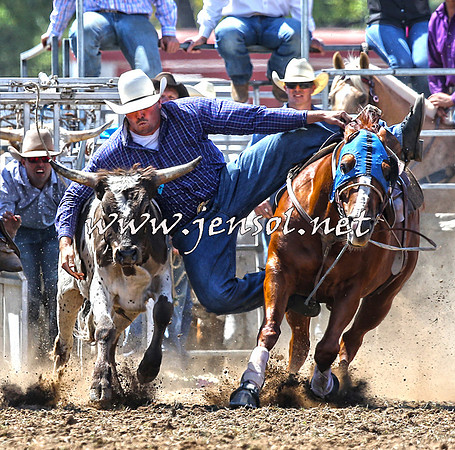 QueanbeyanRodeo2015_1851