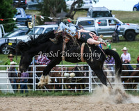 BungendoreRodeo2015_0382-1