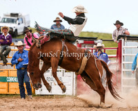 BungendoreRodeo2015_0604-1