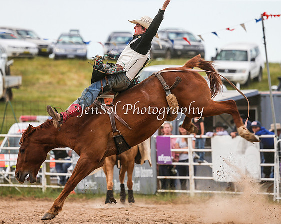 BungendoreRodeo2015_0608-1