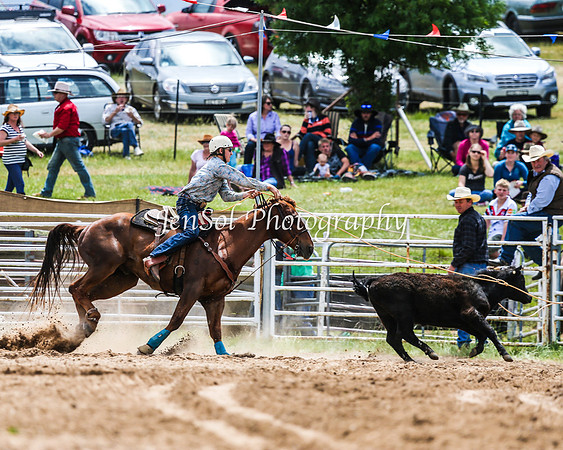 BungendoreRodeo2015_1244