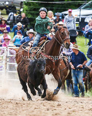 BungendoreRodeo2015_1651