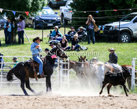 BungendoreRodeo2015_0835