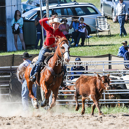 BungendoreRodeo2015_3480