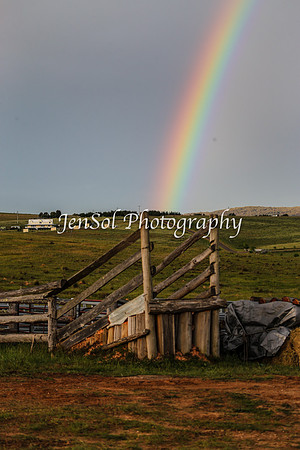 BungendoreRodeo2015_3477-1