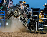 BungendoreRodeo2015_0061-1