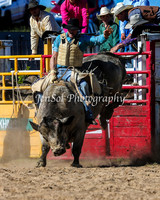 BungendoreRodeo2015_0077-1