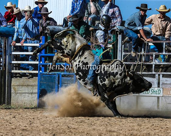 BungendoreRodeo2015_0057-1