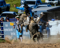 BungendoreRodeo2015_0153-1