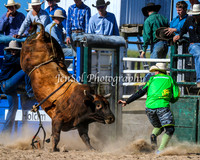 BungendoreRodeo2015_0170-1