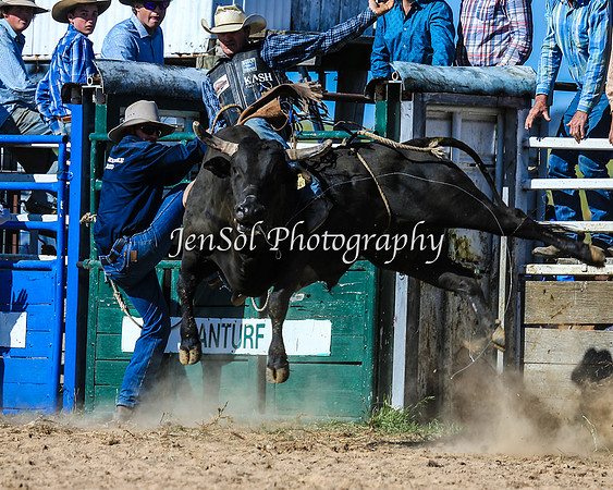 BungendoreRodeo2015_0178-1