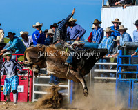 BungendoreRodeo2015_0234-1