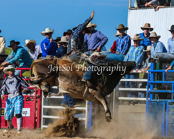 BungendoreRodeo2015_0234-1