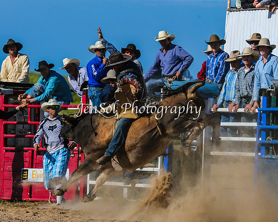 BungendoreRodeo2015_0243-1