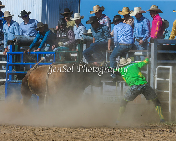 BungendoreRodeo2015_0256-1