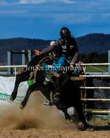 BungendoreRodeo2015_0275-1
