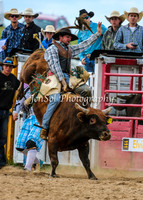 BungendoreRodeo2015_2206