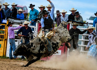 BungendoreRodeo2015_2249