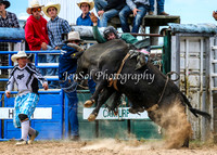 BungendoreRodeo2015_2259