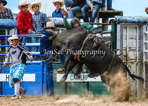 BungendoreRodeo2015_2259