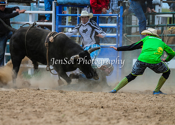BungendoreRodeo2015_2281