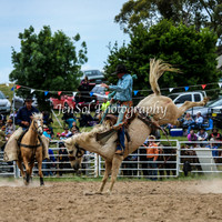 BungendoreRodeo2015_2966