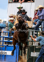 BungendoreRodeo2015_3041